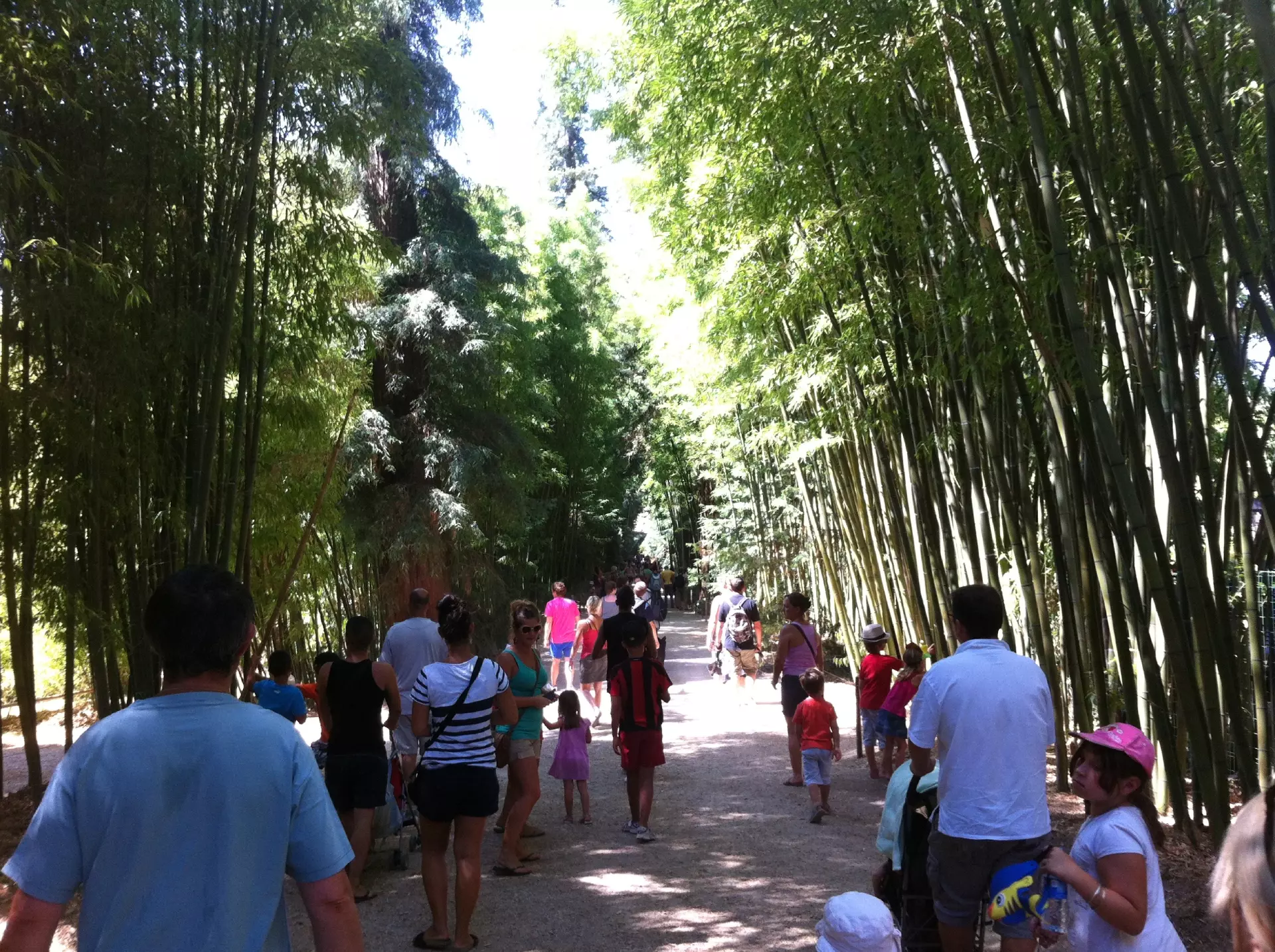 Bambouseraie en cévennes